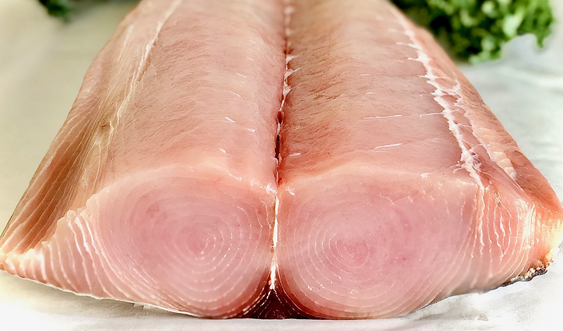 Angel Shark Fillet (frozen)