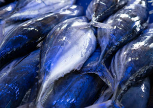 Seafood That Feeds You and the Planet