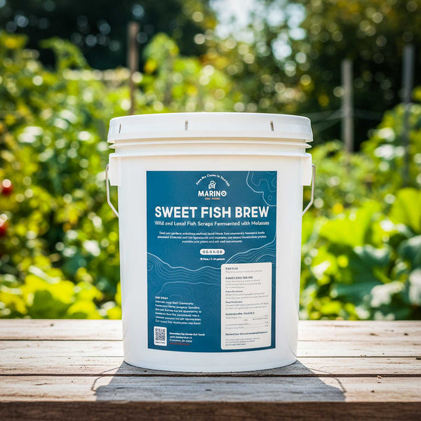 Sweet Fish Brew