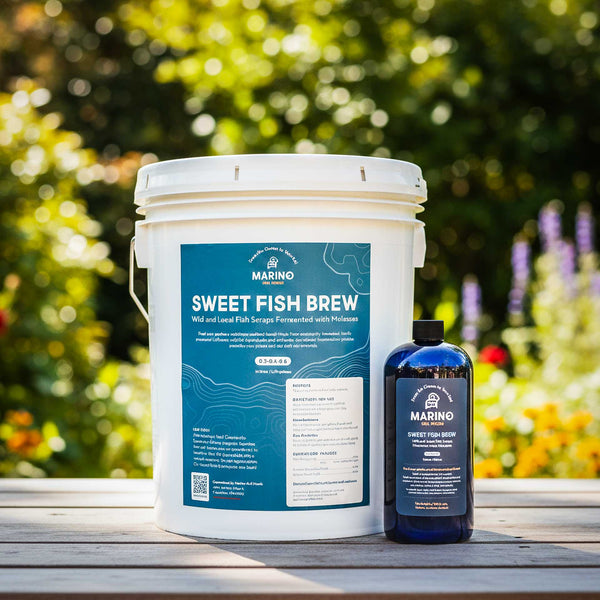 Sweet Fish Brew