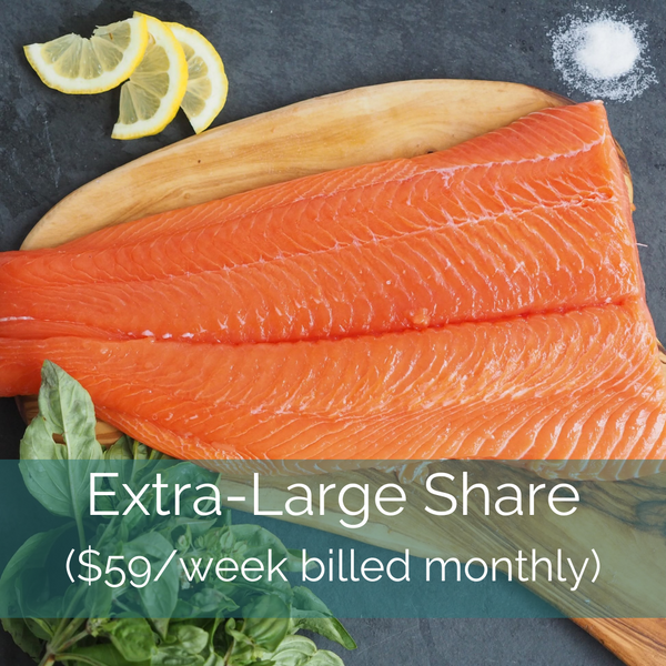 XL Share (Biweekly)