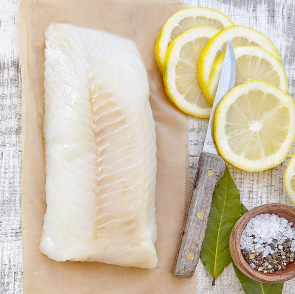 Fresh Lingcod Fillet