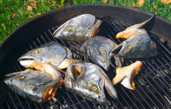 Fresh CA King Salmon Head