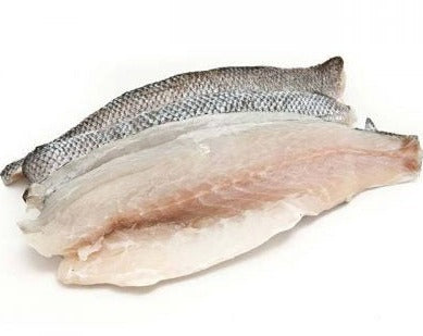 Fresh White Seabass Belly