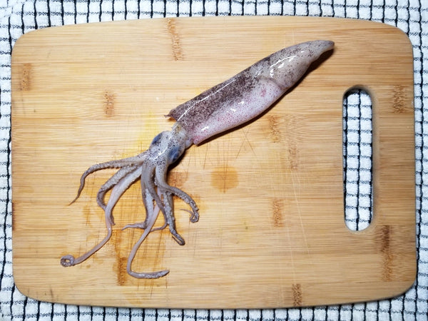 Whole Squid (frozen)